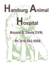 Hamburg Animal Hospital
