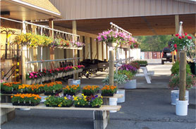 Mountain View Supply