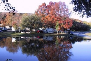 mountain springs campground