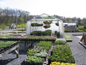 geists nursery